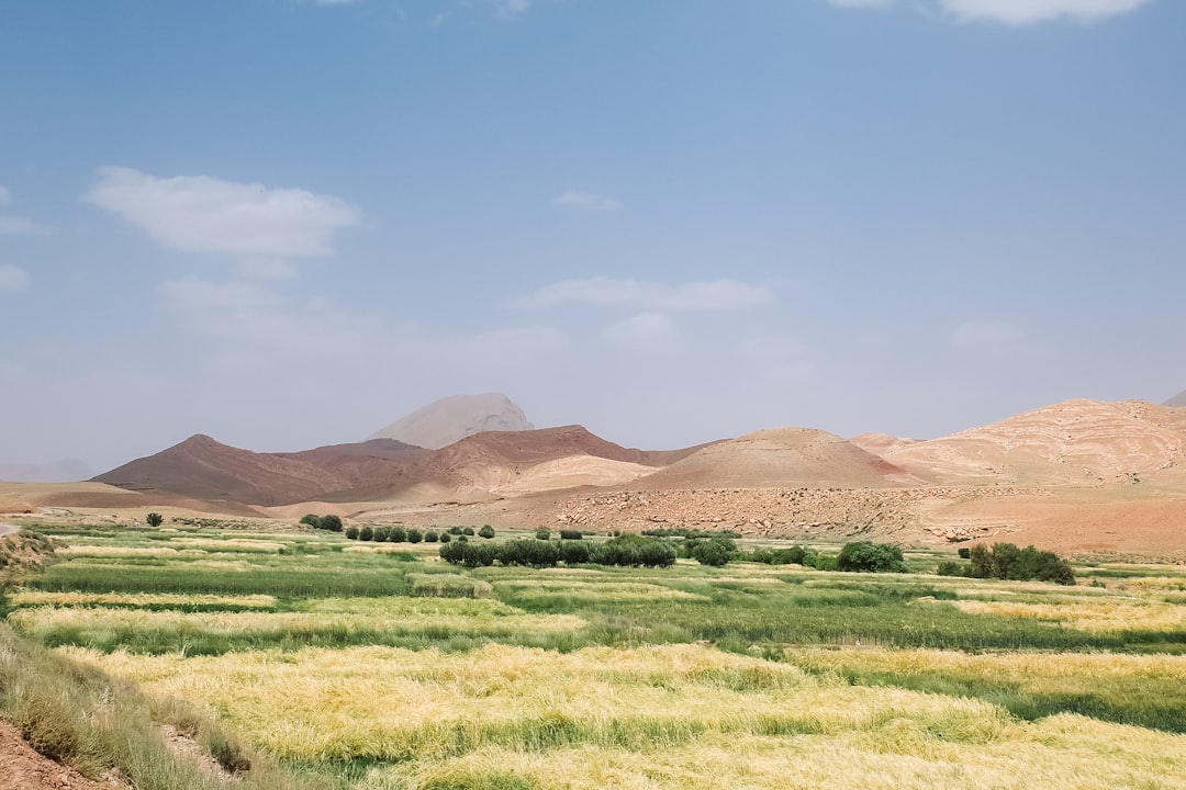 המהפכה החקלאית הבאה מגיעה מהמדבר