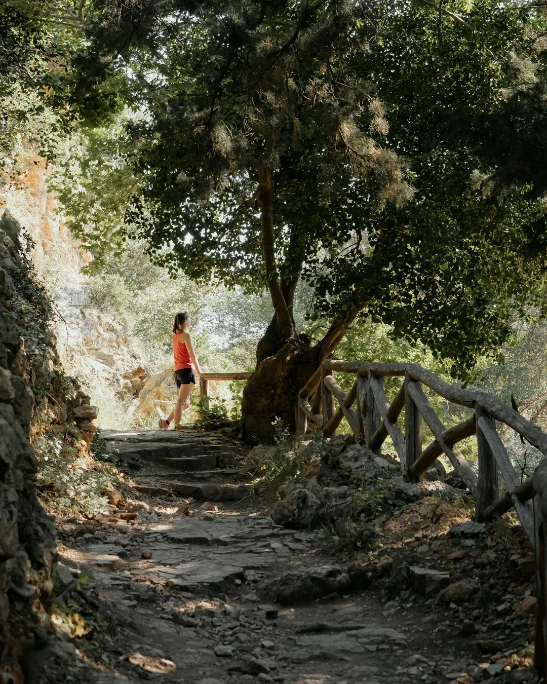 מדריך לטיול משפחות במקומות האהובים בישראל
